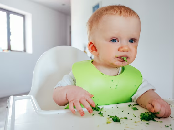 13 Months of Love: Watching Your Baby Blossom into a Curious Explorer