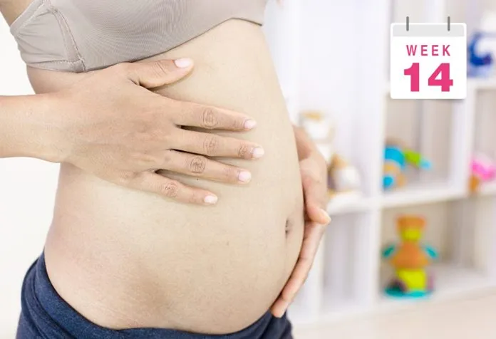 Pregnant Belly Pictures Week by Week : Week 14