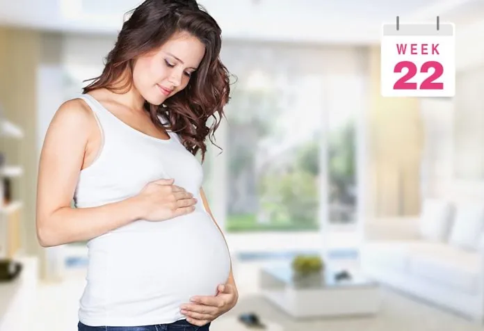 Pregnant Belly Pictures Week by Week : Week 22