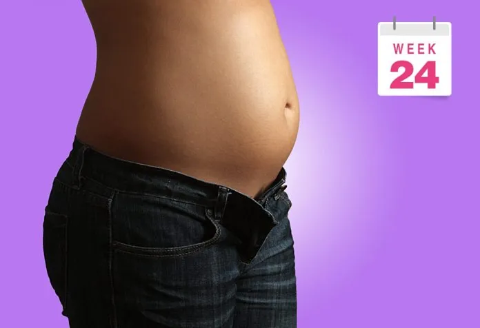 Pregnant Belly Pictures Week by Week : Week 24
