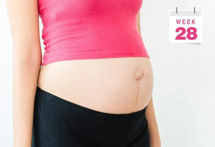 Pregnant Belly Pictures Week by Week : Week 28