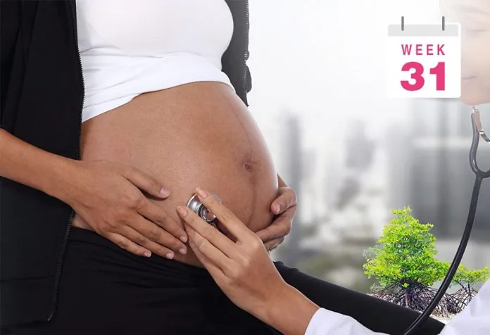 Pregnant Belly Pictures Week by Week : Week 31