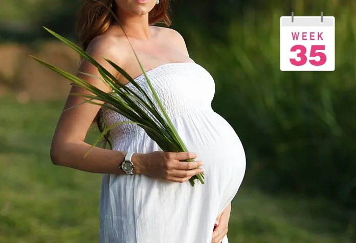 Pregnant Belly Pictures Week by Week : Week 35
