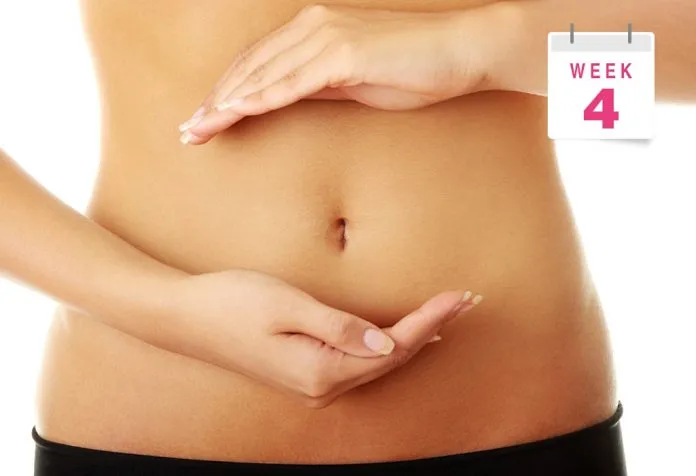 Pregnant Belly Pictures Week by Week - Week 4