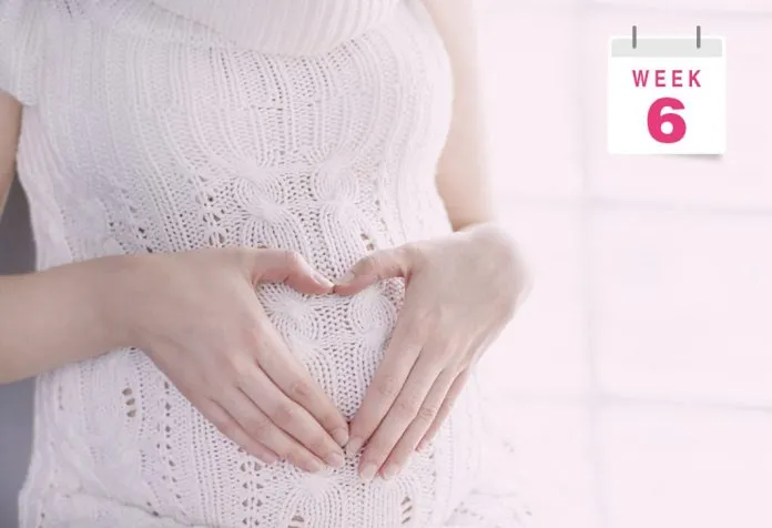 Pregnant Belly Pictures Week by Week - Week 6