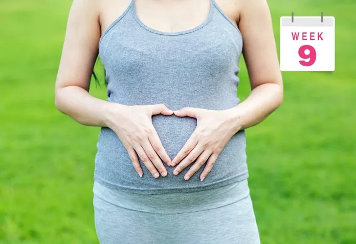 Pregnant Belly Pictures Week by Week : Week 9